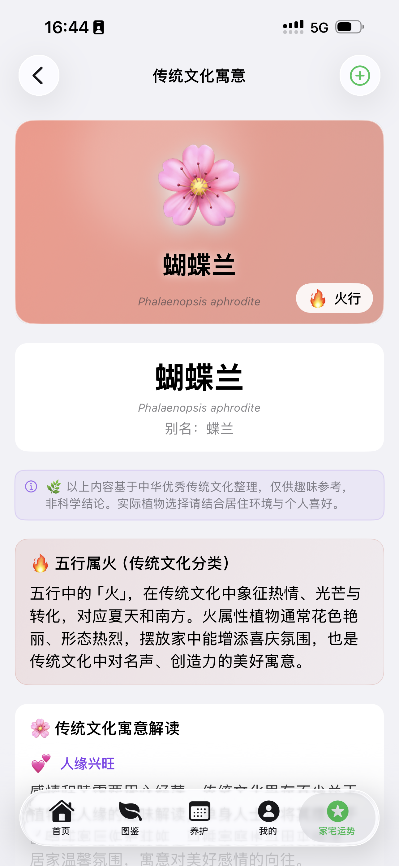 传统文化寓意界面，展示蝴蝶兰五行属火与人缘兴旺寓意