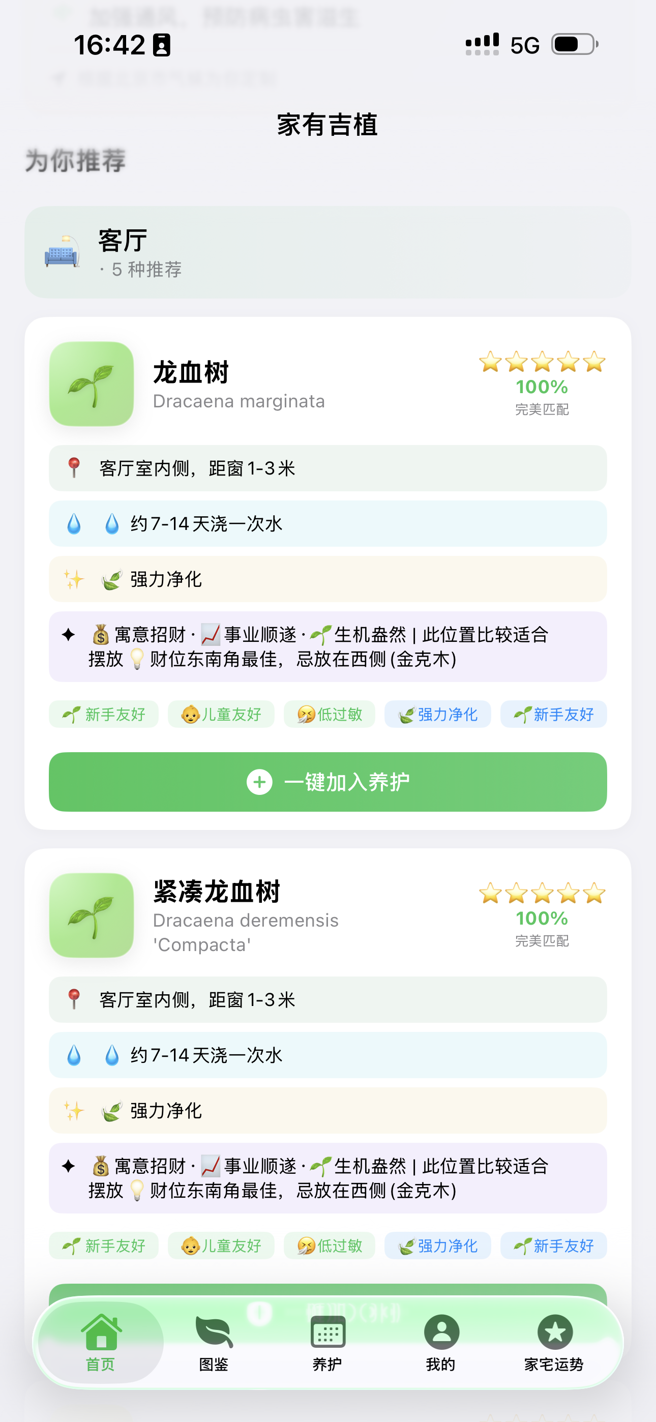 客厅推荐界面，展示龙血树等匹配植物